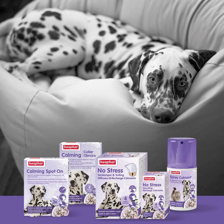 Beaphar No Stress Difusor e Recarga para cães , , large image number null
